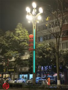 四川成都县城玉兰灯案例展示
